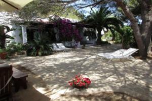 Casa Hani Casa Hani