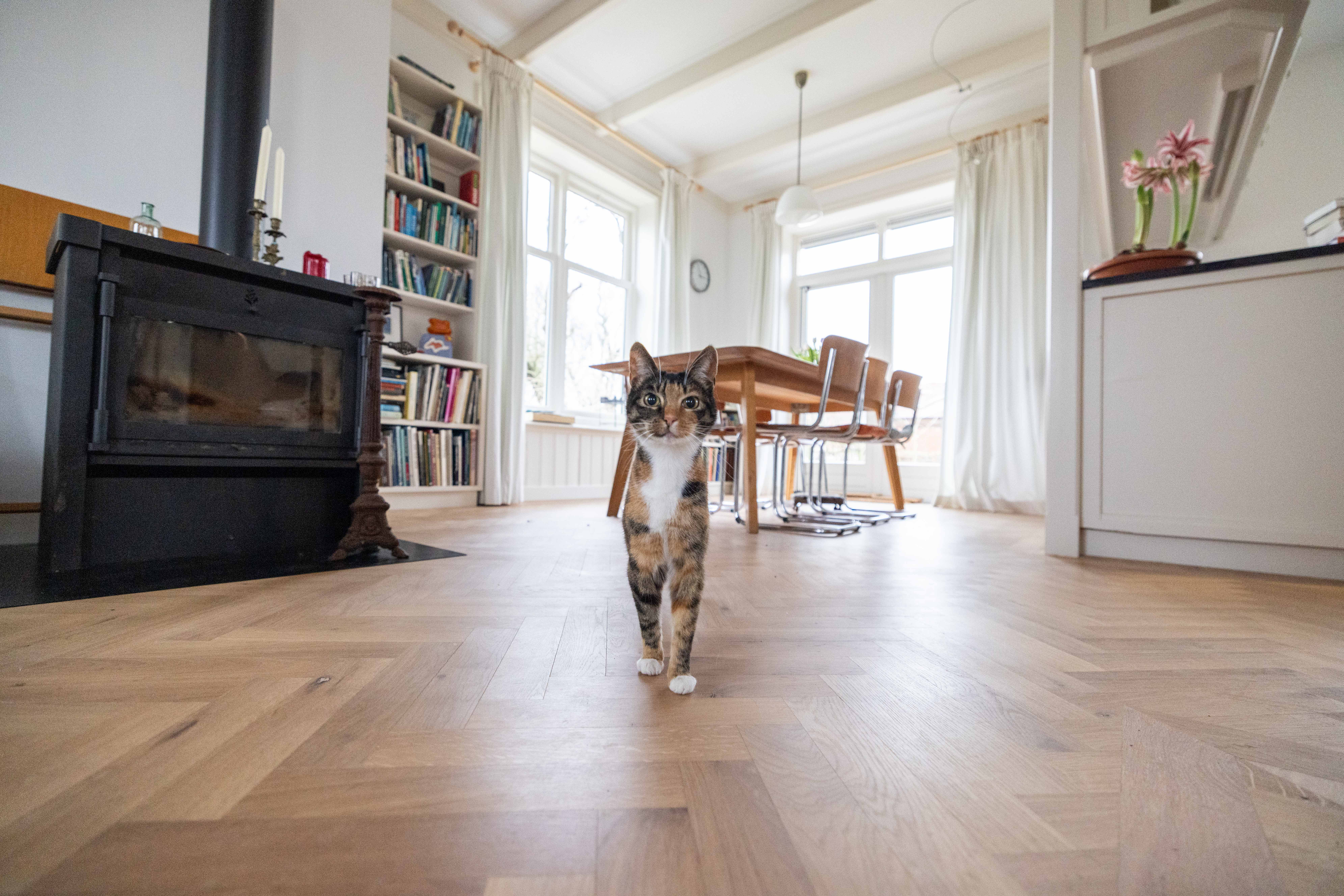 In de woonkamer is gekozen voor een eiken visgraat tapis vloer die op vloerverwarming is gelegd.