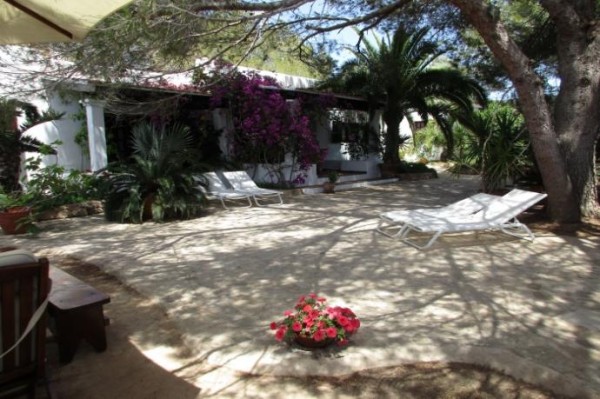 Casa Hani