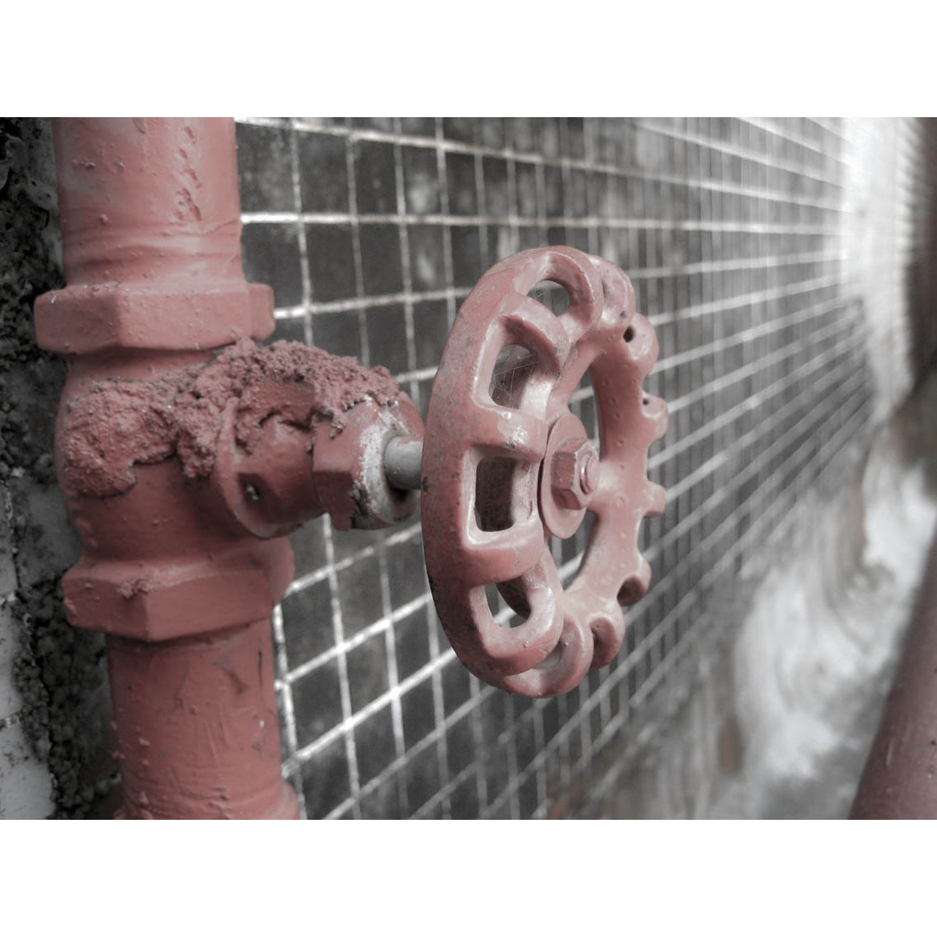 Hennepkwekerij in een gehuurde woning