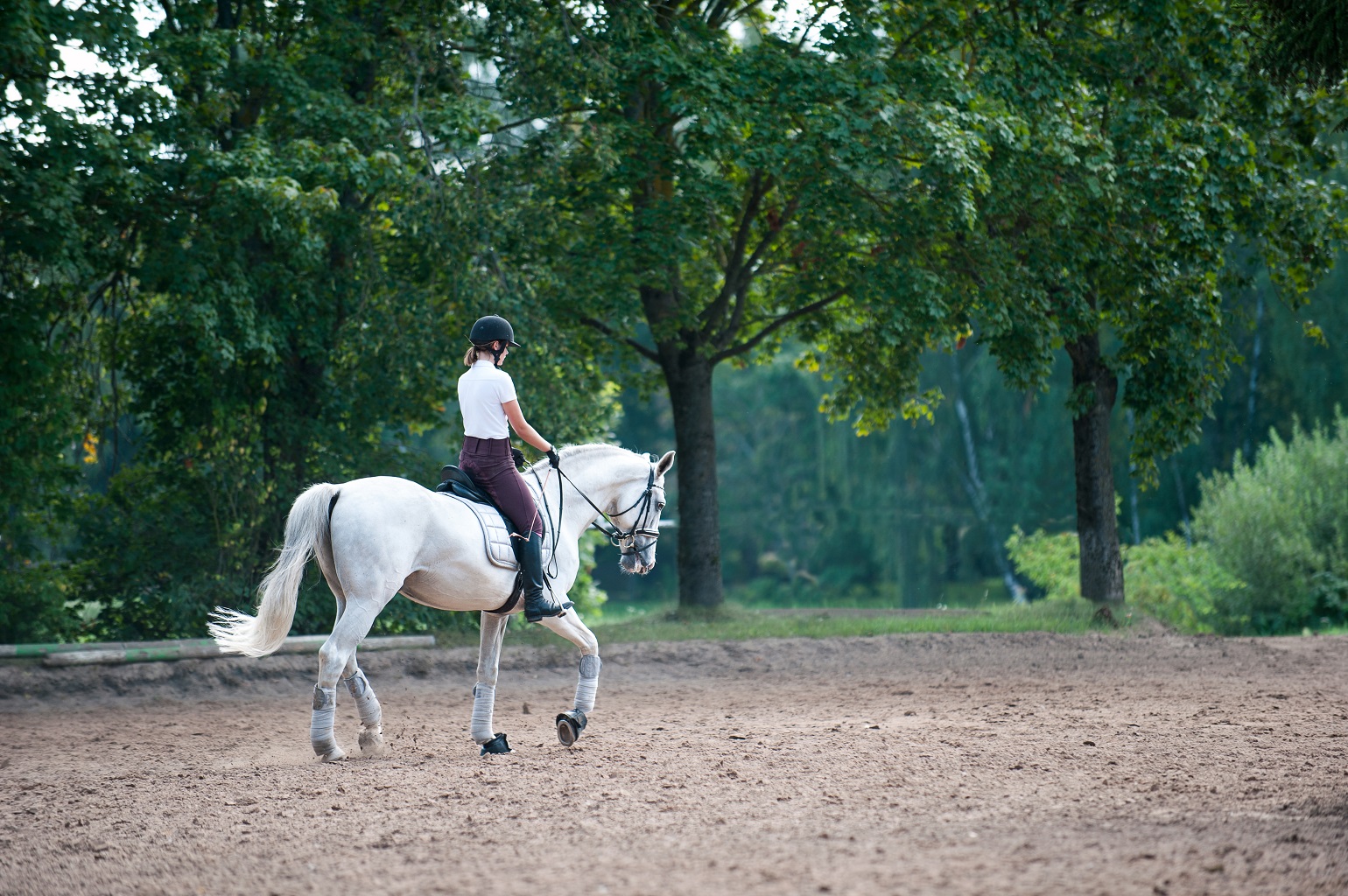 Paard (ver)leasen: belang van duidelijke afspraken bij de leaseovereenkomst van een paard!