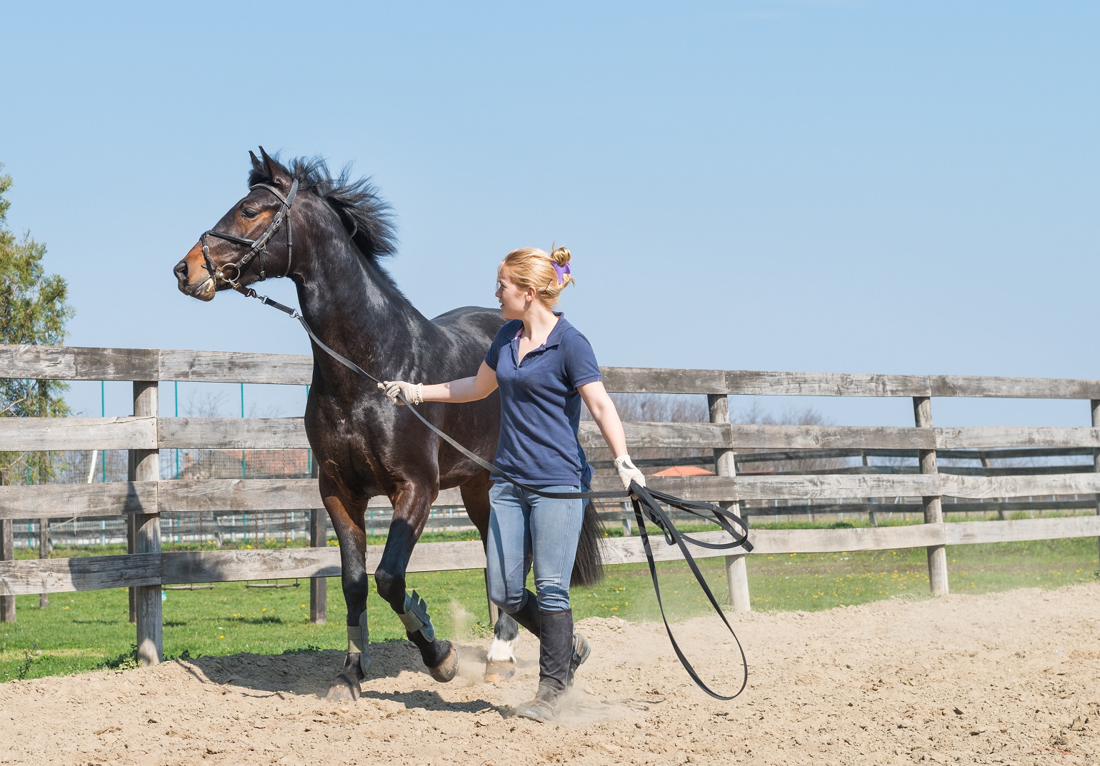 Paard in training: let op met risicoaansprakelijkheid!