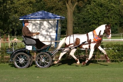 Menteam P&K home slider