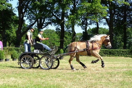 Menteam P&K home slider