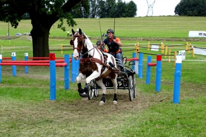 Menteam P&K home slider