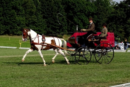 Menteam P&K home slider