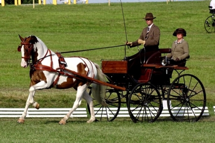 Menteam P&K home slider