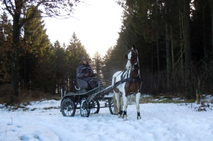 Menteam P&K paarden slider