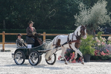 Menteam P&K paarden slider