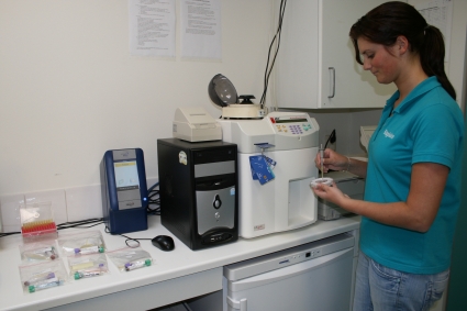 sportbegeleiding bij wedstrijden