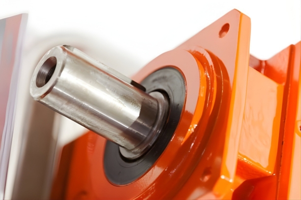 Oil Seal KG - Rotary shaft seal with dust lip inside electric motor