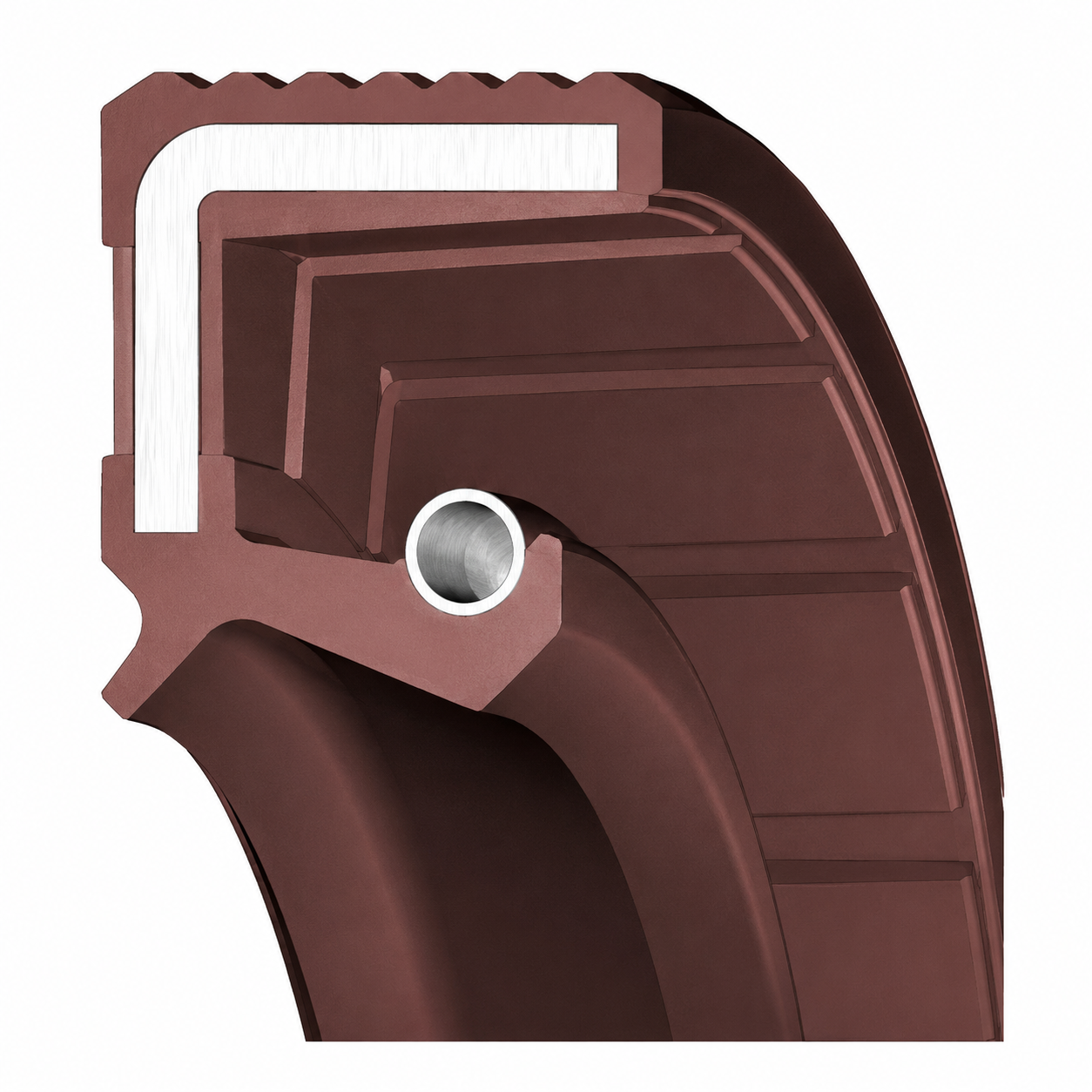 Oil Seal Type G11