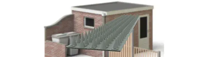 PointStrip XL is big, pointed, and sharply priced!