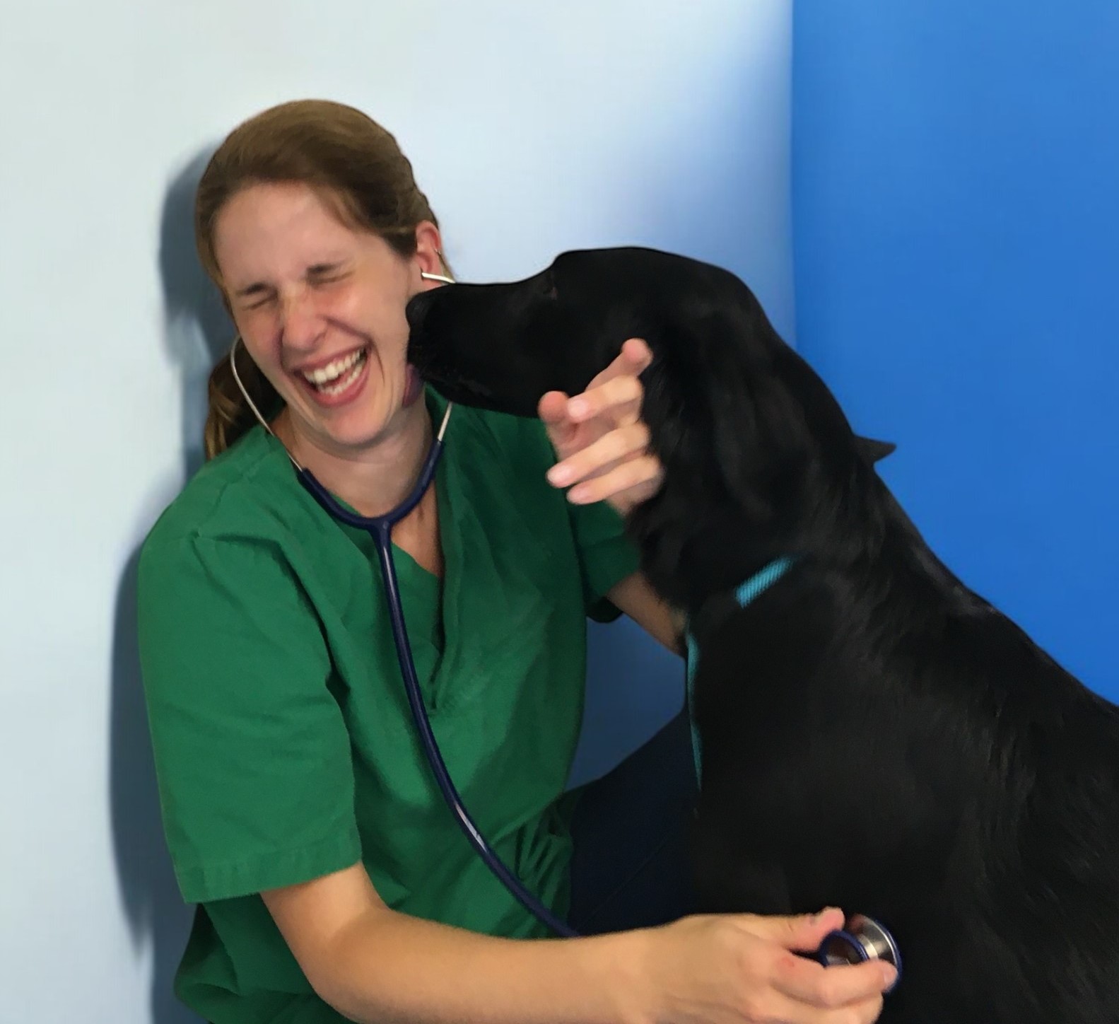 Annelies van Tilburg, Dierenarts