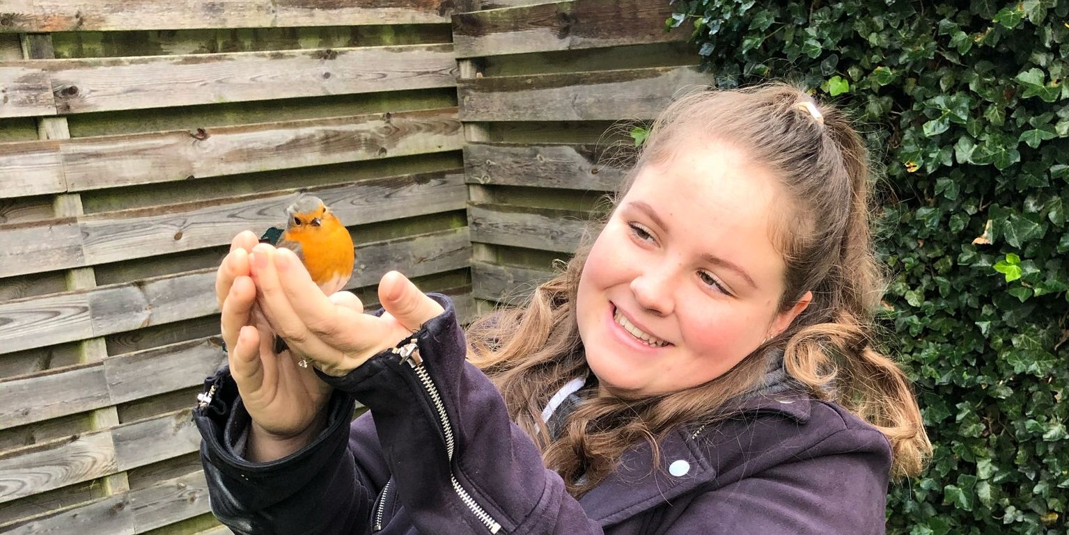 Emilia Simitkovski, Paraveterinair Dierenartsassistent