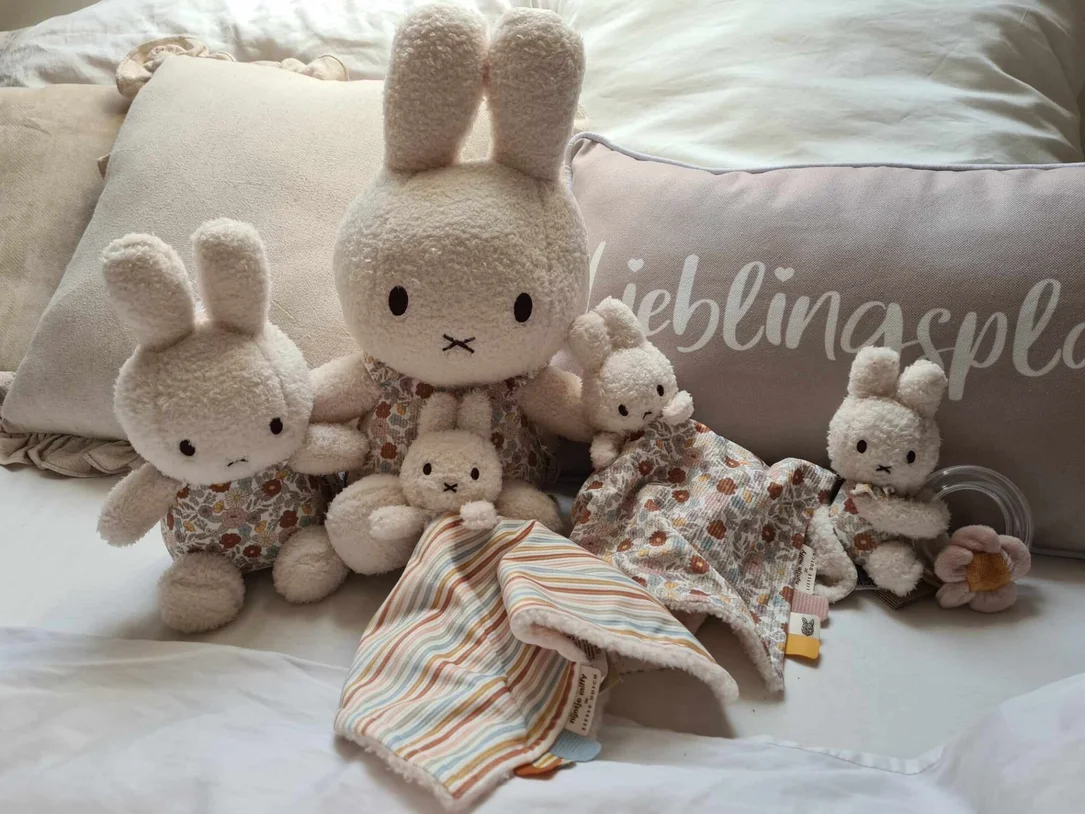 Little Dutch speeltjes