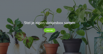 Stekjesbox op RTV Drenthe