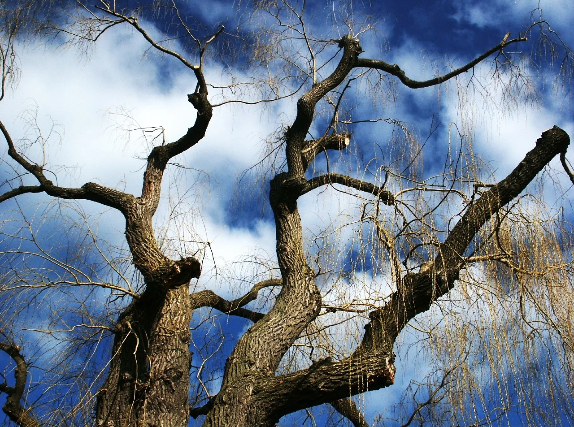 Ingrediënten voor (on)succesvolle handhaving