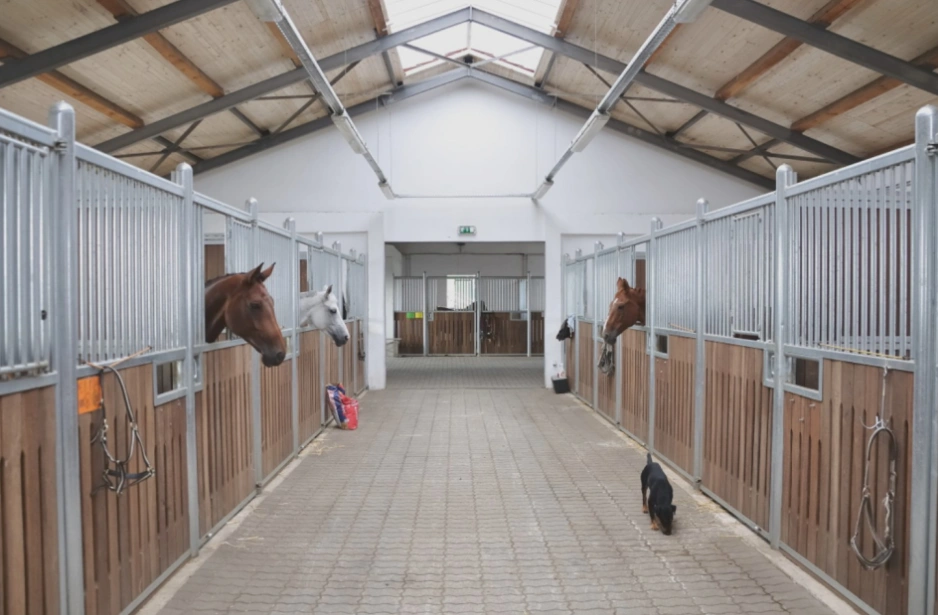 Coronavirus en hippisch recht | Retentierecht als paardenmiddel tegen wanbetalers? 