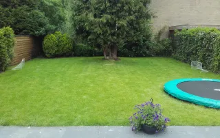 Oortman Groen & Grondverzet