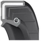 Oil Seal 110x160x12 - TC - NBR - Nitrile - Black - OSS66191 product image