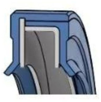 Domsel Oil Seal AC - 25 x 52 x 9 - FPM - Viton - SS-304 - Black - OSS57907