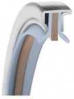 Garlock PS-Seal® 25x35x8 - MEC04-13552 - Rotary Shaft Seal - GYLON/PTFE - Back to Back - 10 Bar - Blue product image