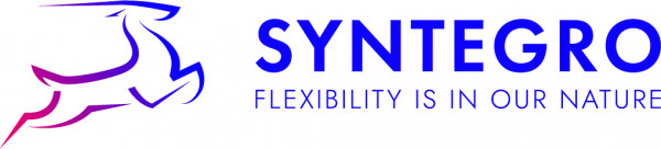 Syntegro
