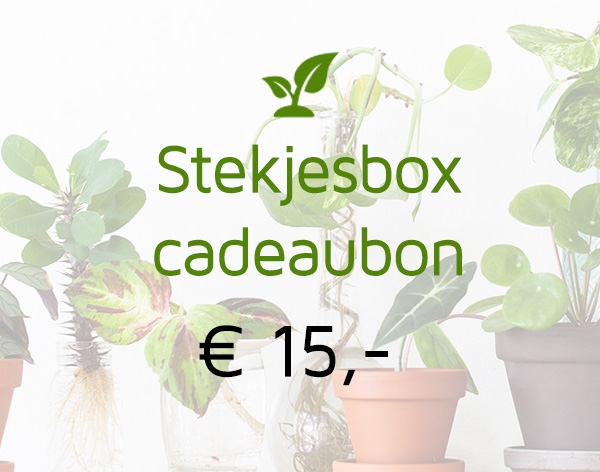 Gift card 15 euro (digitaal)