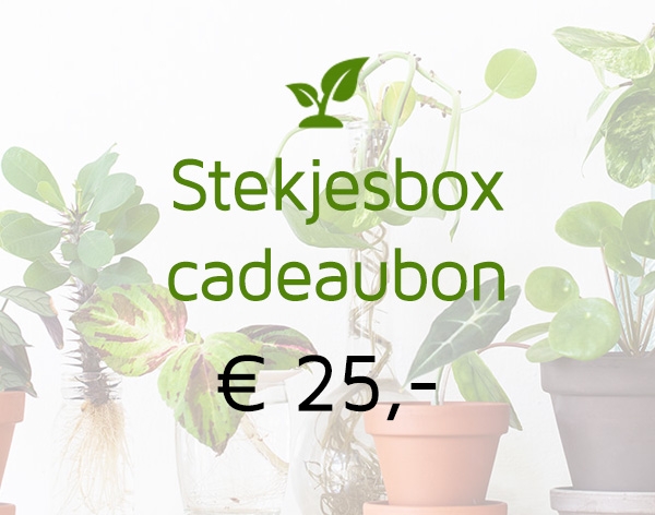 Gift card 25 euro (digitaal)