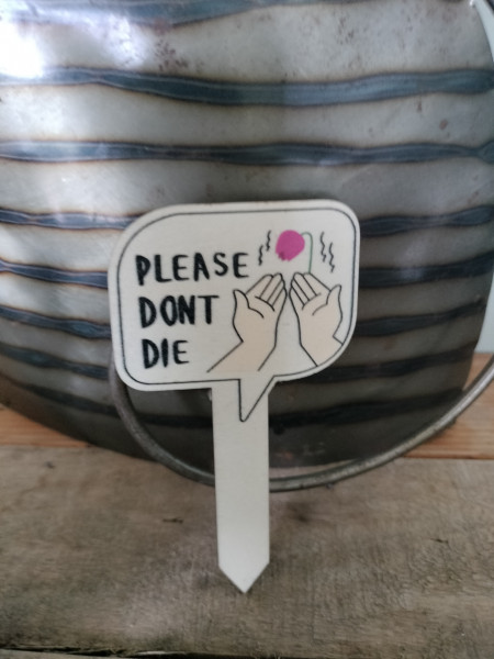 Plant pricker: Please don't die