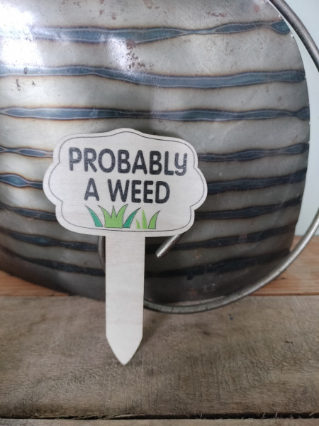 Plantprikker : Probably a weed