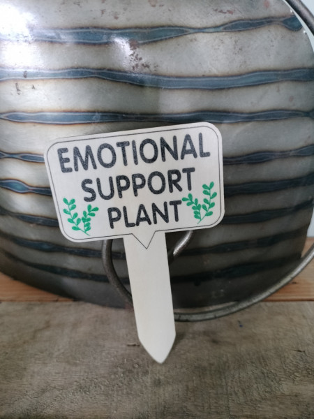 Plantprikker : Emotional support plant