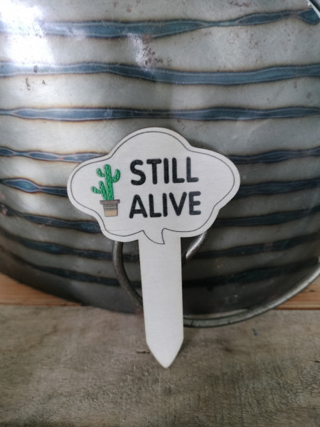Plant pricker: Still alive