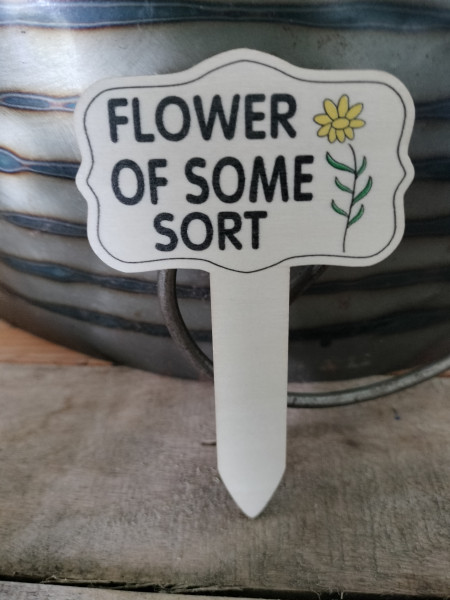 Plant pricker: Flower of some sort
