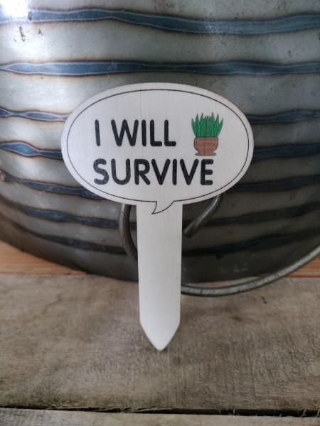 Plantprikker: I will survive , plant