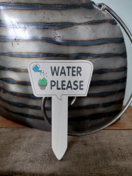Plant pricker: Water please