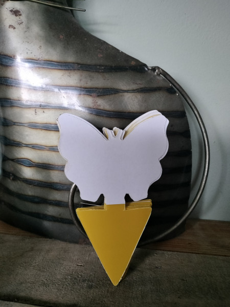 Adhesive catch sheet to prevent fungus gnats