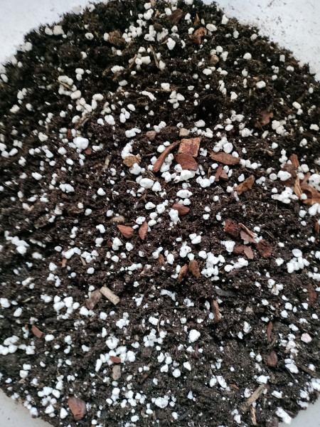 2,5 liter potting soil mix for indoor plants (not suitable for succulents)