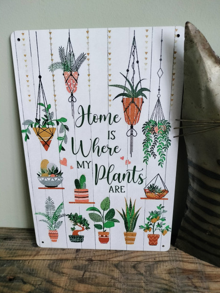Home is where my plants are