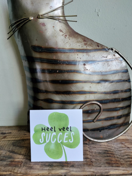 Kaartje "Heel veel succes"