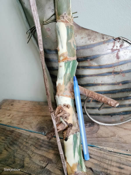 Wetstick Monstera Variegata, veel wit!