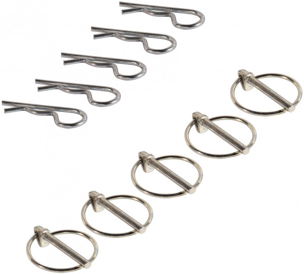 Assortiment borgveren+clips verenstaal,  wit verzinkt