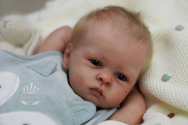 Kit Oskar reborn - olga auer Photo du produit