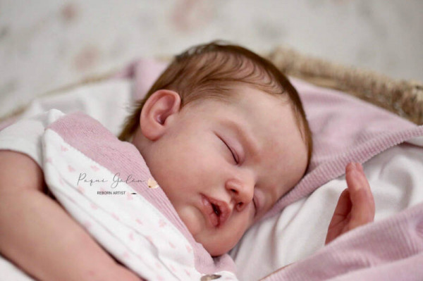 Zain reborn kit - ebtehal abul Photo du produit