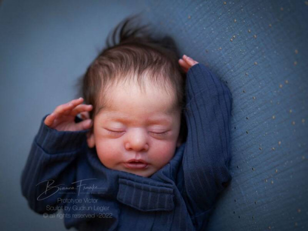 Victor reborn kit - gudrun legler Photo du produit