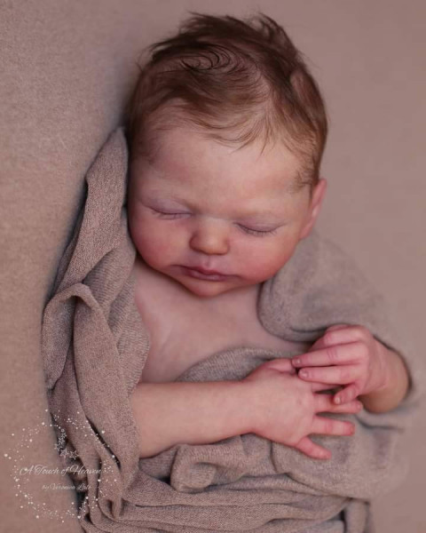 Kit Teddy reborn - ashten byant Photo du produit