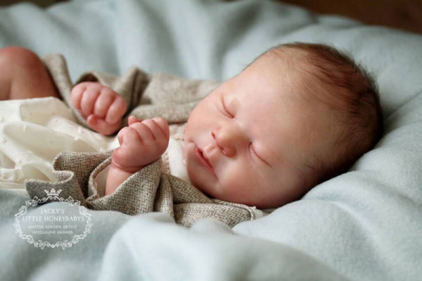 Kit Chase Reborn - Bonnie Brown product foto