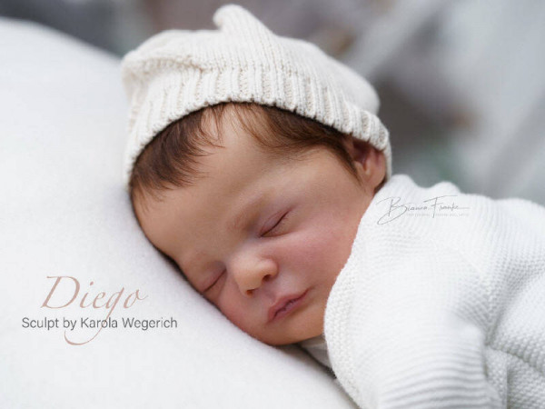 Kit Diego reborn - karola wegerich Photo du produit