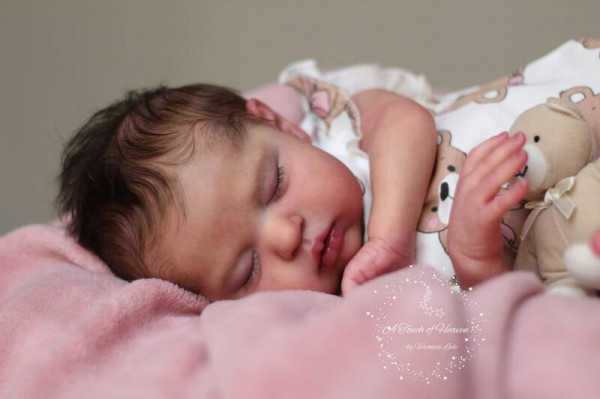 Kit Teddy reborn - irina kaplanskaya Photo du produit